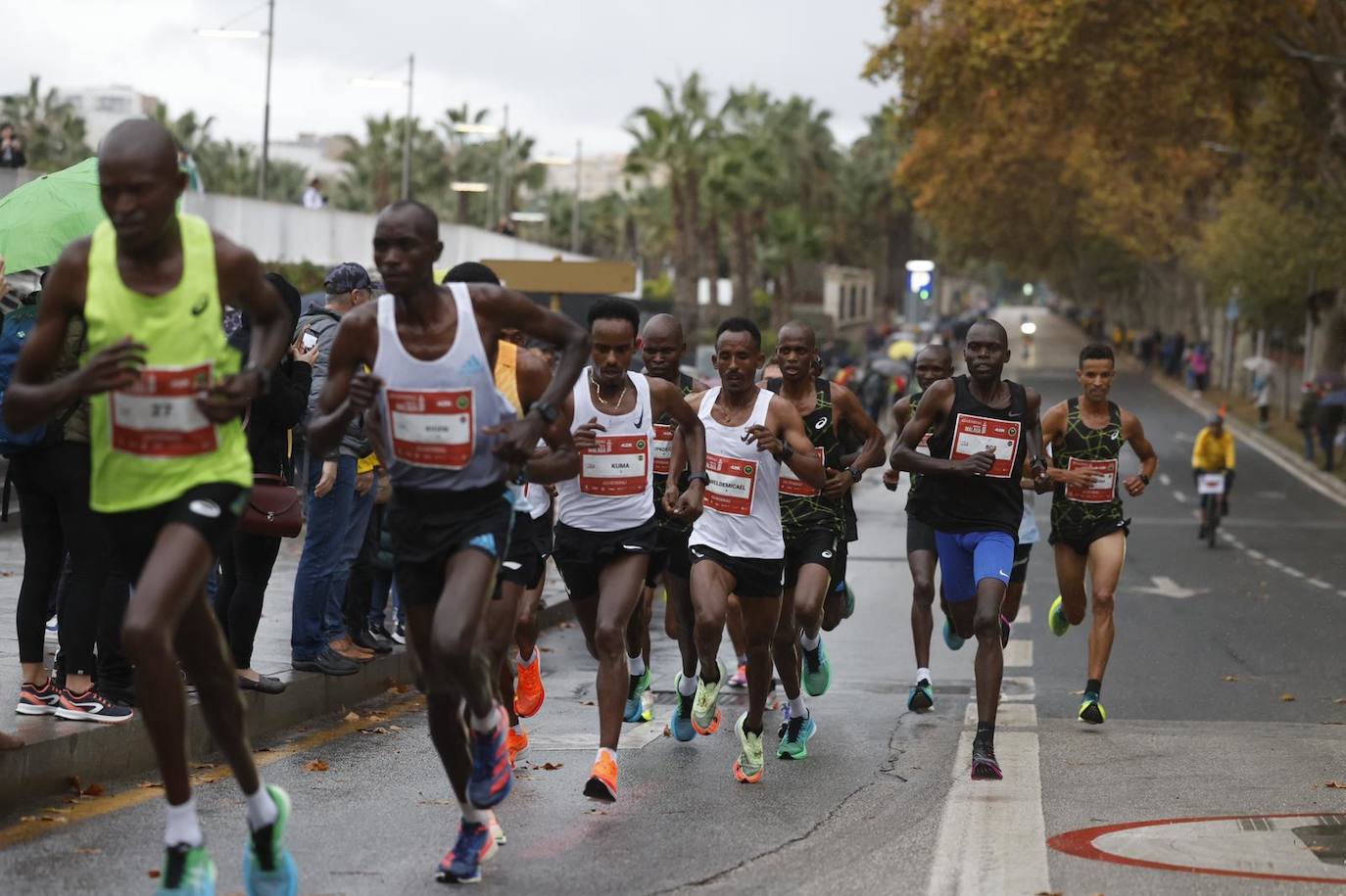 Runners in the Generali Malaga Marathon race on Sunday, 11 December 2022