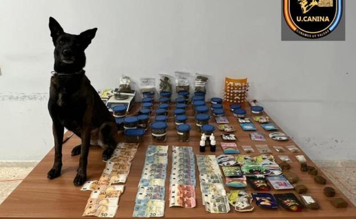 A Marbella Local Police Canine Unit dog with drugs and money from the operation.