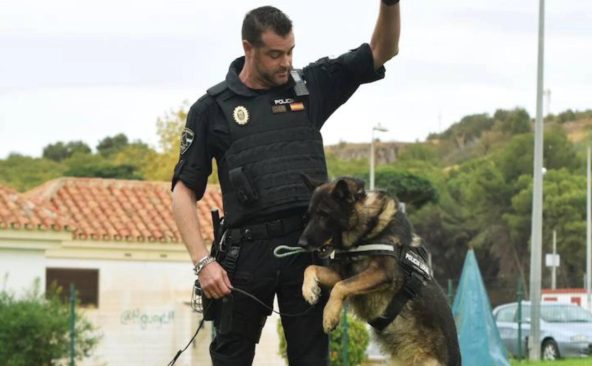 Officer Álvaro Díaz: “the dogs think it’s a game” 