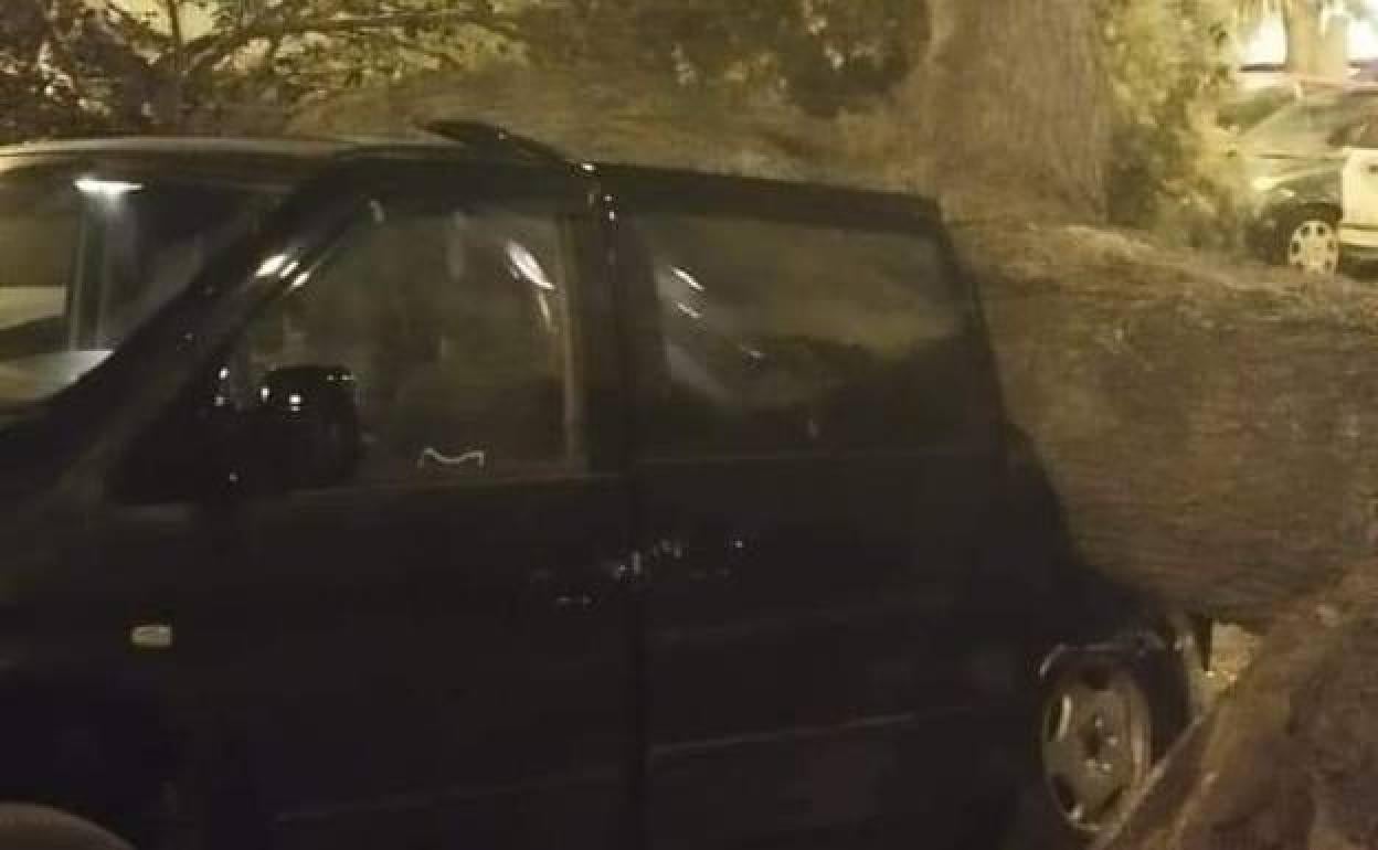 One of the cars damaged by the large tree. 