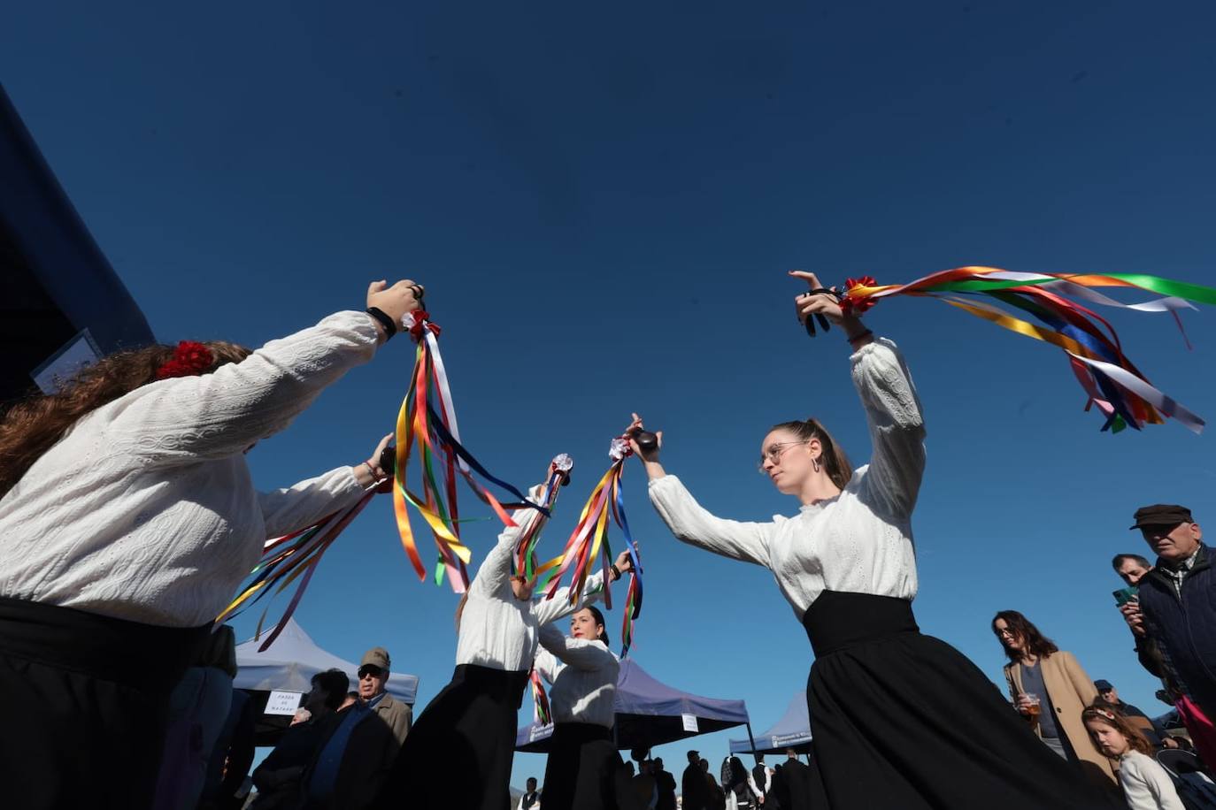 A total of 25 'pandas' (groups) participated