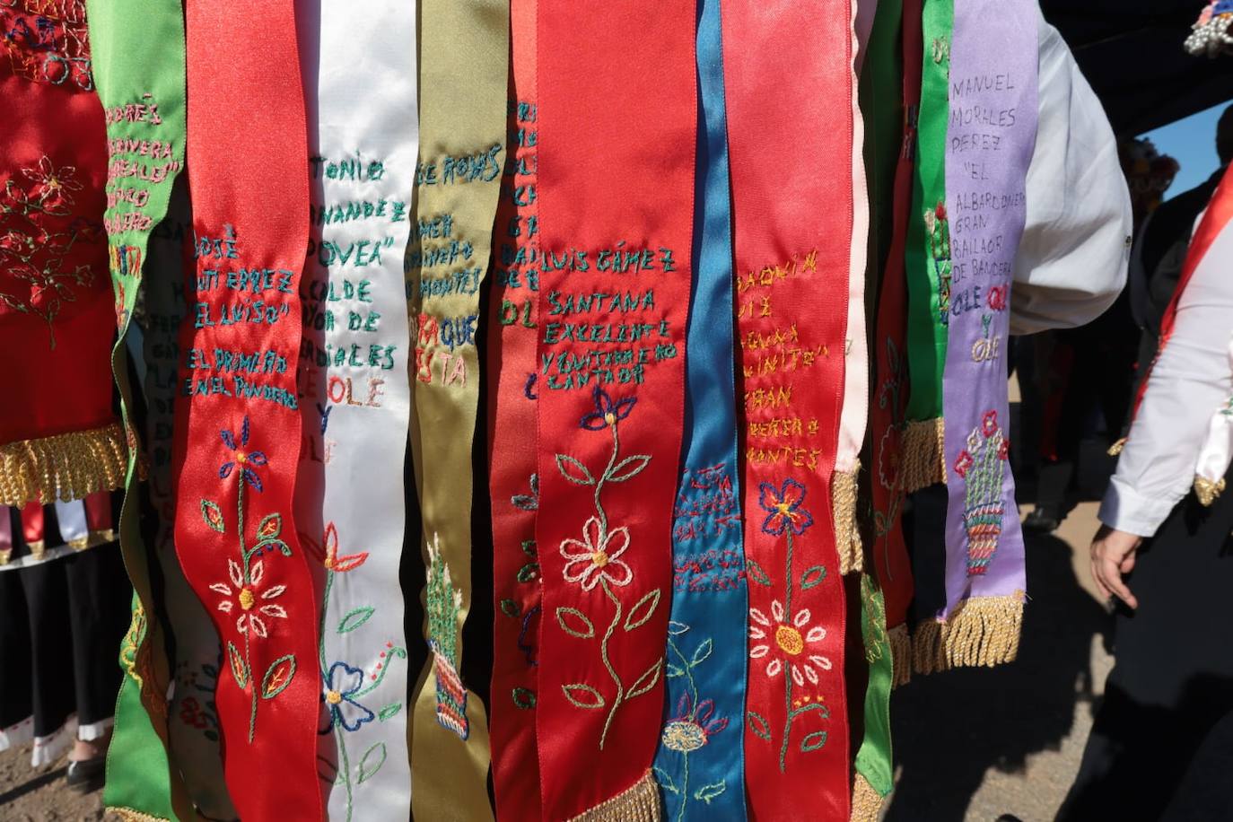 A total of 25 'pandas' (groups) participated