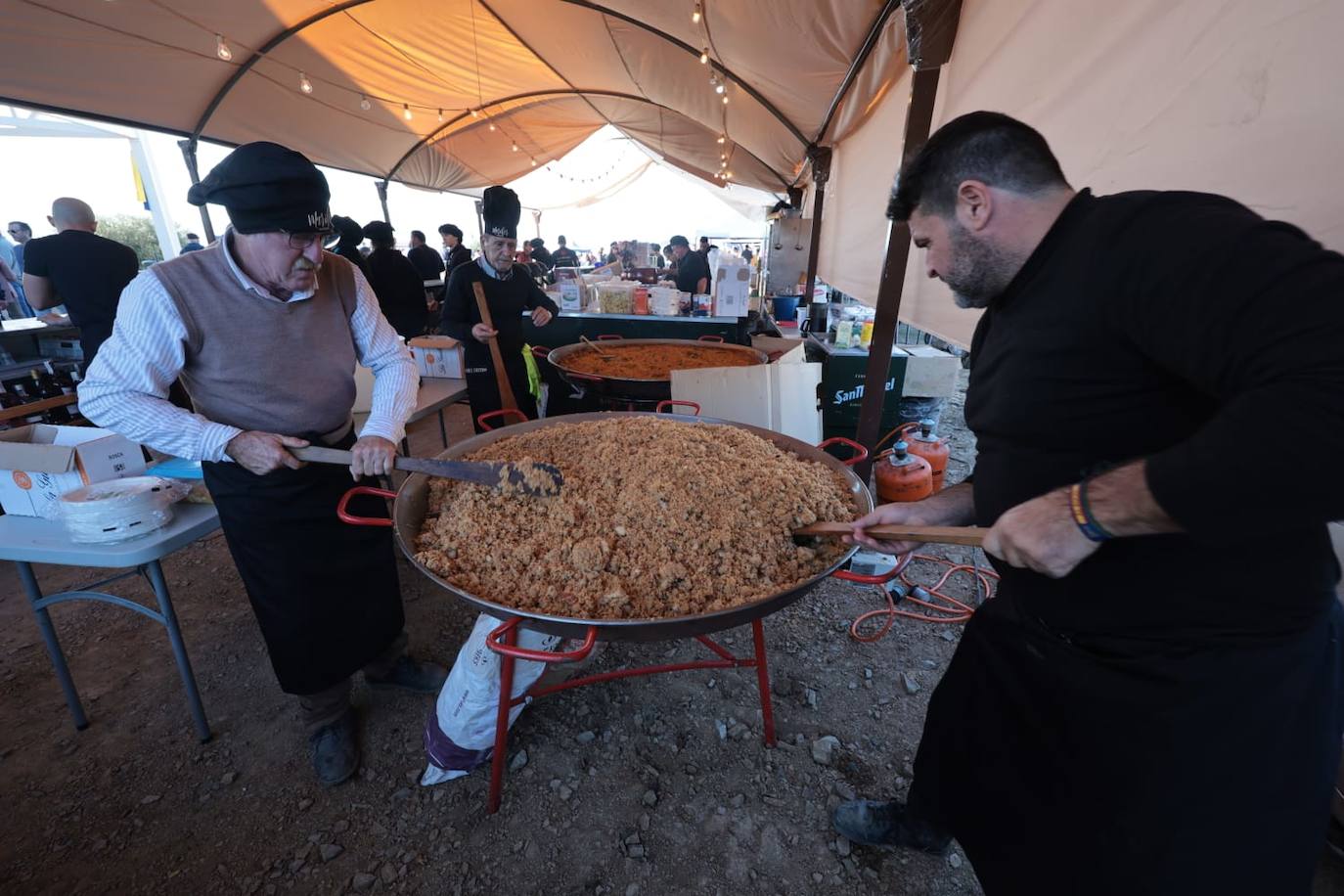 A total of 25 'pandas' (groups) participated 