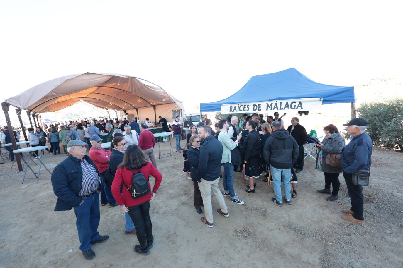 A total of 25 'pandas' (groups) participated