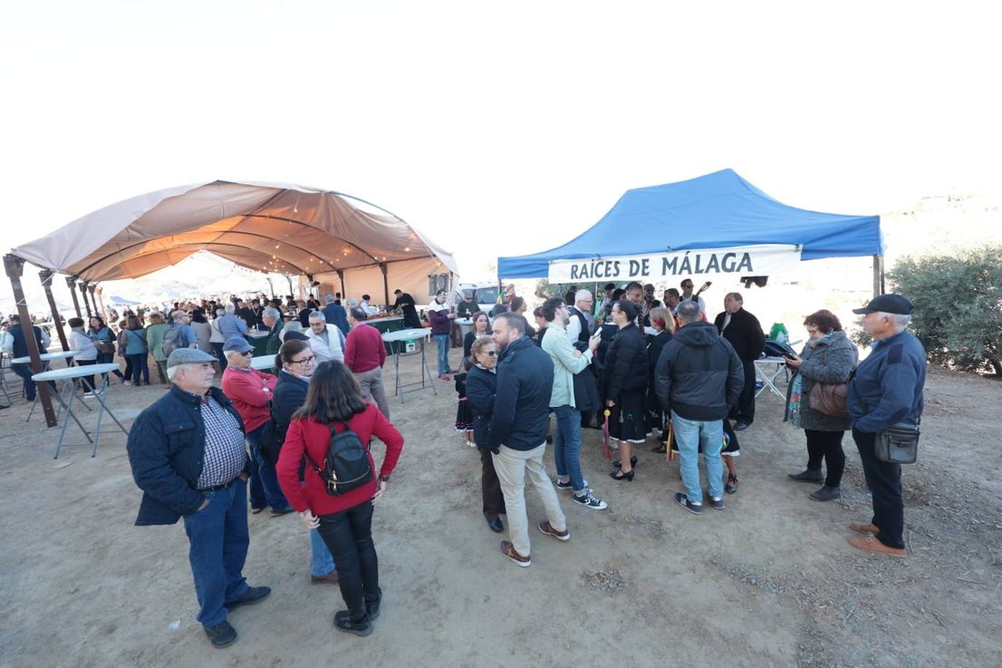 A total of 25 'pandas' (groups) participated