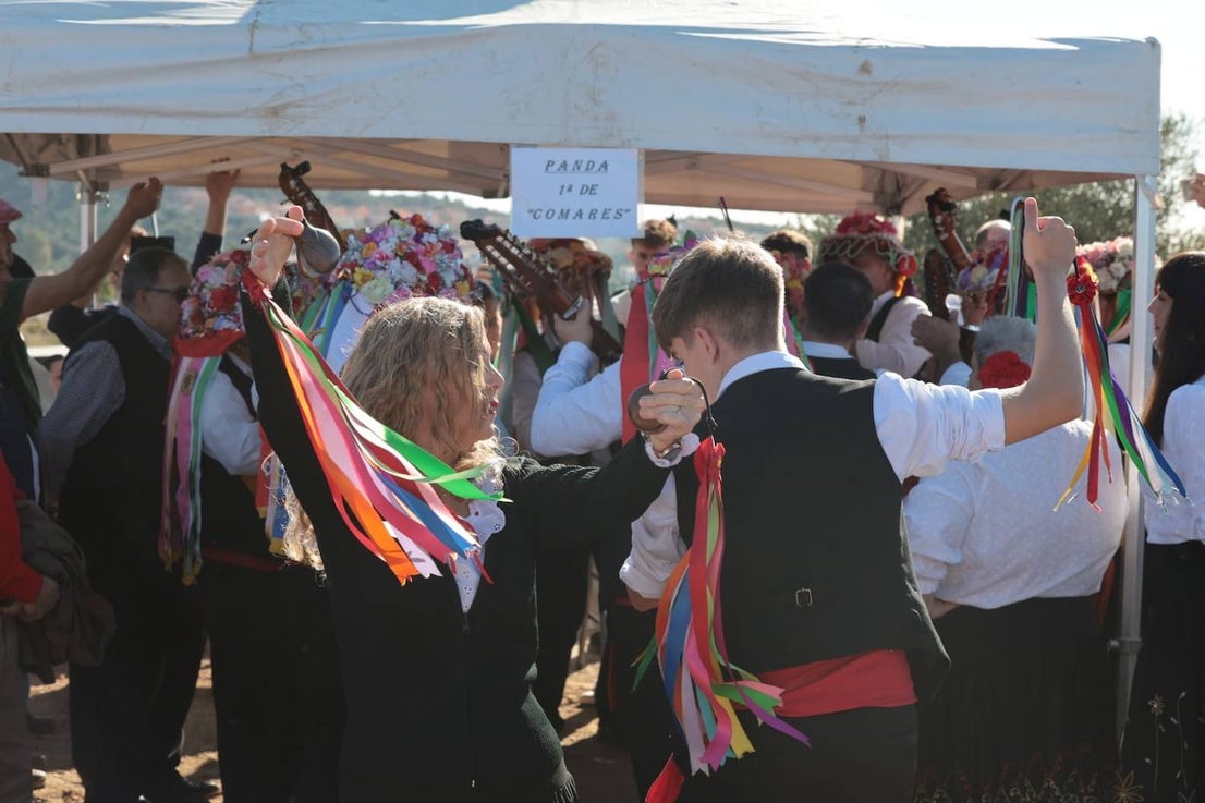 A total of 25 'pandas' (groups) participated 