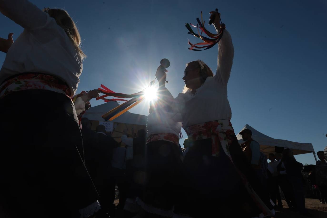 A total of 25 'pandas' (groups) participated