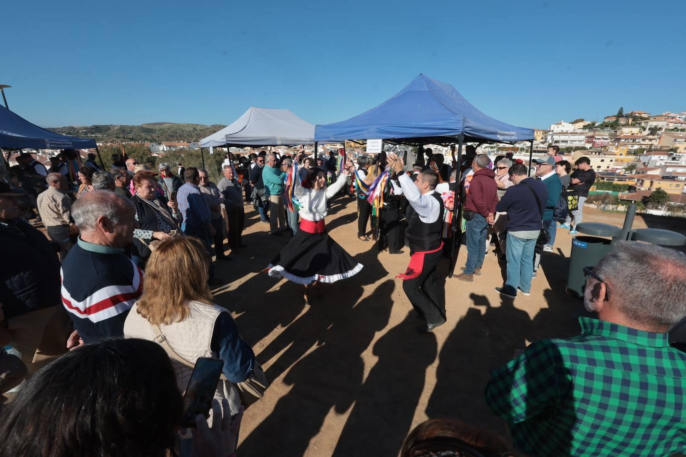 A total of 25 'pandas' (groups) participated 