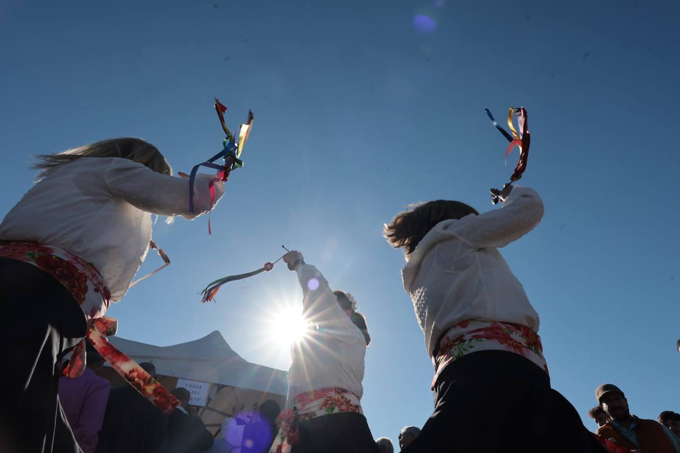 A total of 25 'pandas' (groups) participated 