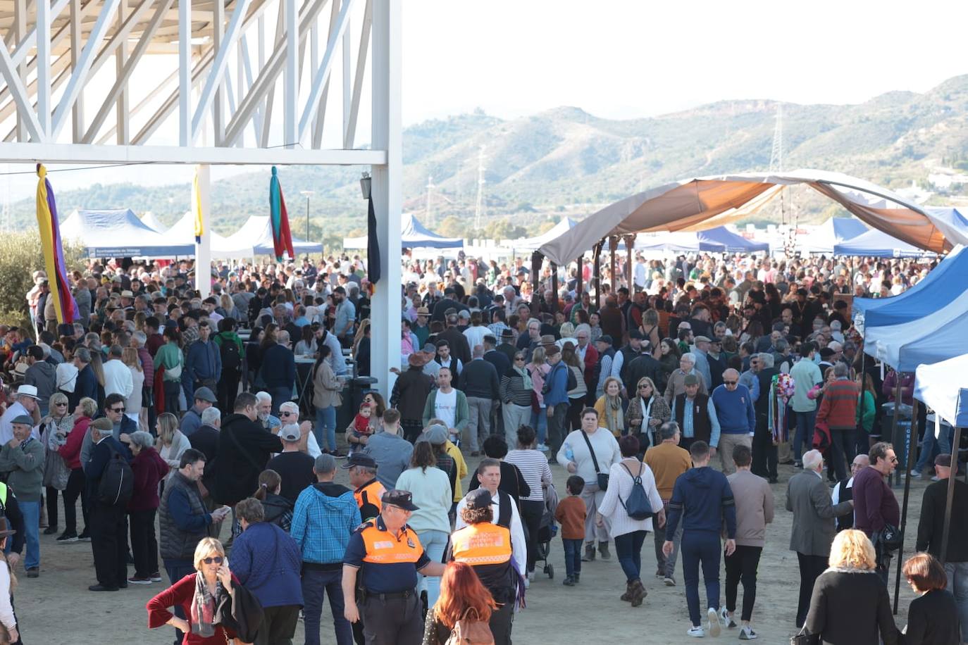 A total of 25 'pandas' (groups) participated