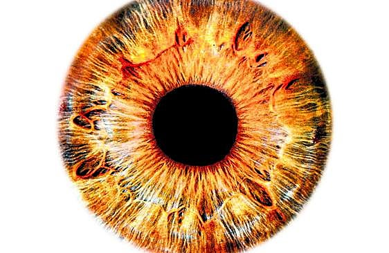 What our eyes can reveal