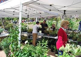 File photograph of a previous year's event.