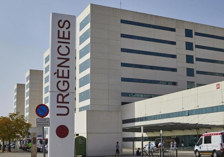British woman dies after being attacked by abandoned dog on roadside in Spain