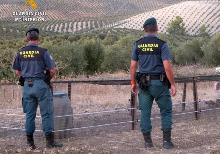 Owner faces 18-month prison sentence after Spanish hunting dog starves to death