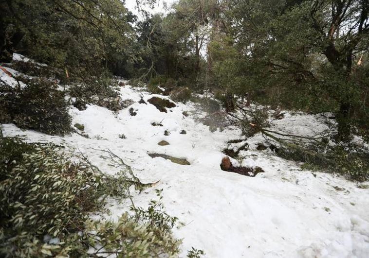 The snowfall caused by storm Juliette in Mallorca earlier this week.