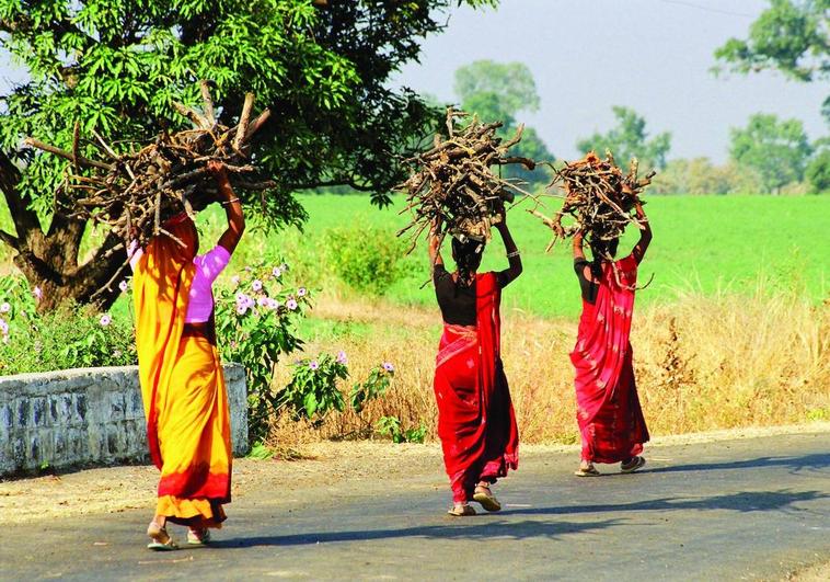 Women carrying firewood on their heads.