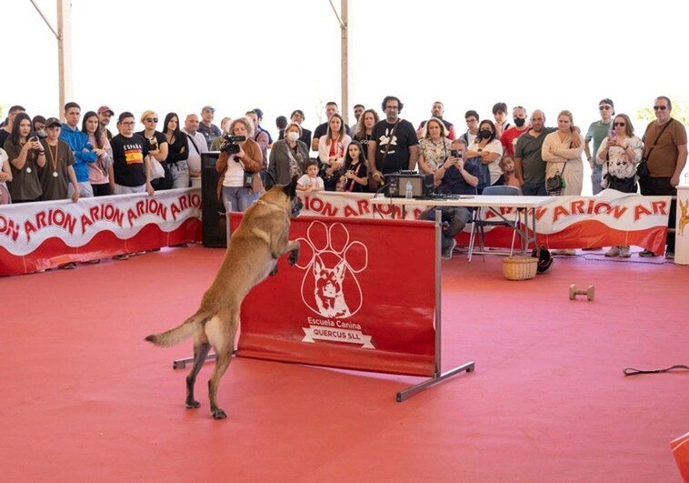 Archidona dog show prepares to celebrate its 30th birthday