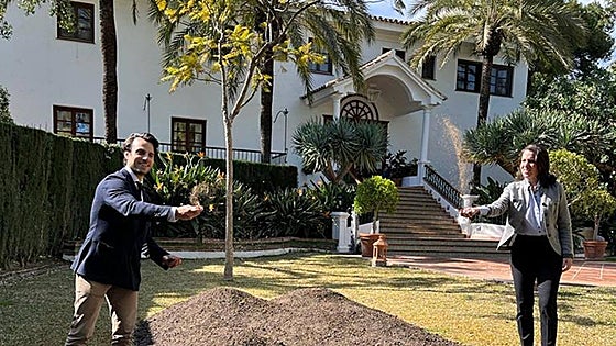 Bee-jou hotel opens for insects in Marbella
