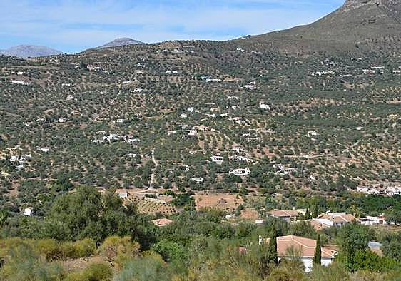 Five arrested after wave of burglaries in the Axarquía