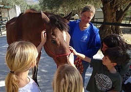 Children were encouraged to interact with the horses.