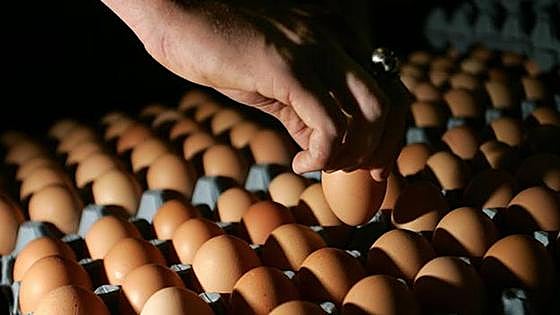 Possible case of salmonella investigated after seven restaurant diners admitted to hospital
