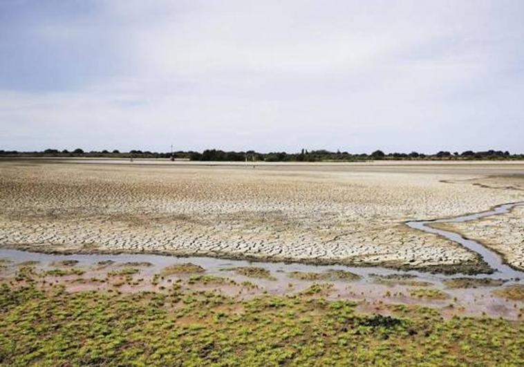 EU warns again over plan to allow irrigation around Doñana wetlands