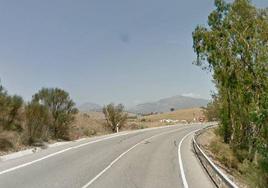 The accident happened on the A-356 in Malaga province.