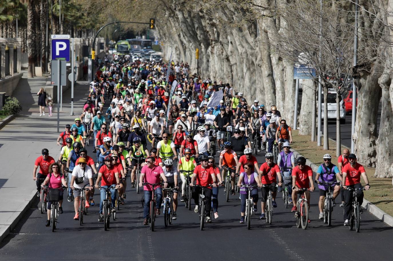 Photo gallery: demonstration to demand more cycle lanes in Malaga