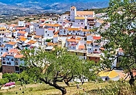 Iznate has suspended its forthcoming celebrations