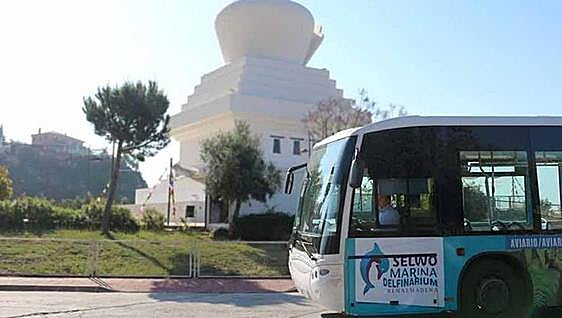 Benalmádena boosts free bus service for local residents