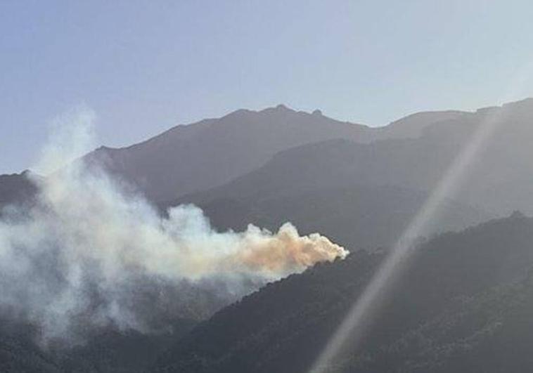 Two helicopters and ground crews tackle forest fire in Yunquera