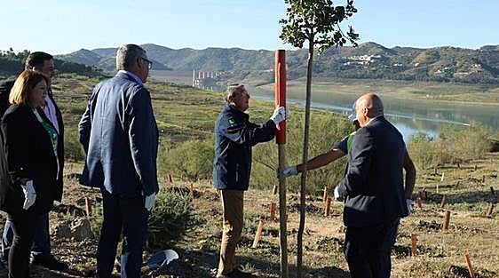 Thousands of trees and shrubs planted around Axarquía reservoir