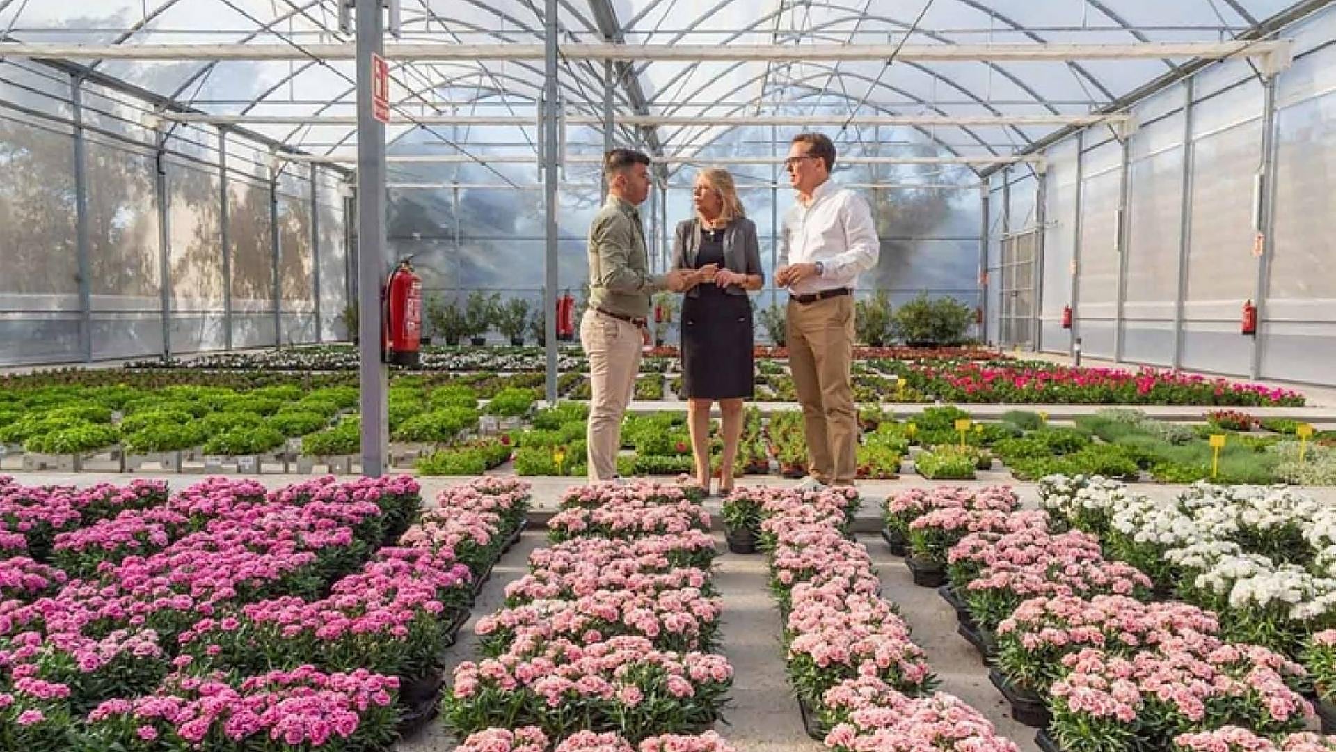 Council nursery set to grow 600,000 plants a year to decorate Marbella