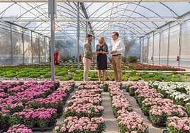 The mayor (c) among the plants.