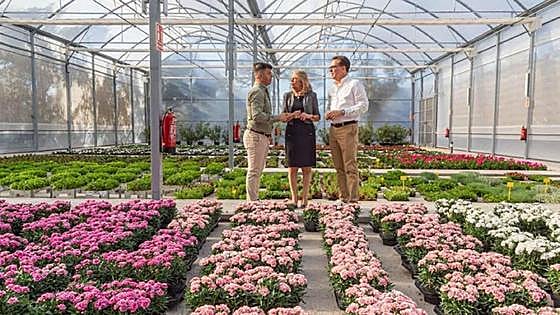 Council nursery set to grow 600,000 plants a year to decorate Marbella