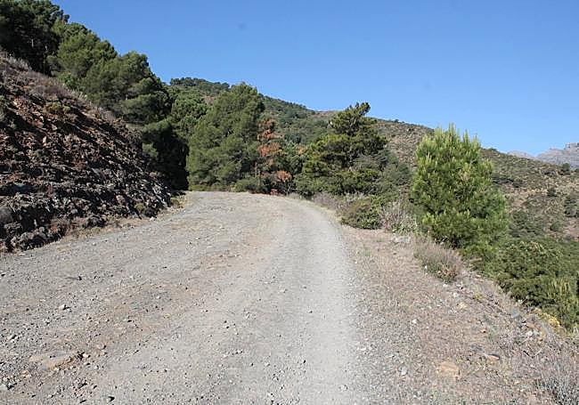 After passing the hotel Cerro de Híjar, the lane is made of dirt.