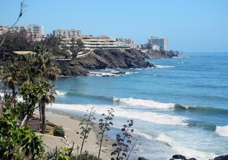 Judge orders closure of Benalmádena&#039;s dog beach after complaint from local resident