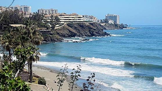Judge orders closure of Benalmádena's dog beach after complaint from local resident
