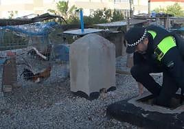 Officers found a filthy room which was used as a chicken coop