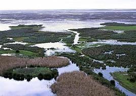 Parque Nacional Doñana, in Andalucía's Seville and Huelva provinces.