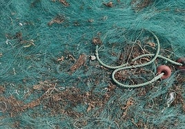 Infected gear helps the spread of the invasive algae.