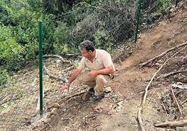 Gardener Bartolomé Gallego in the area where he found the skull.