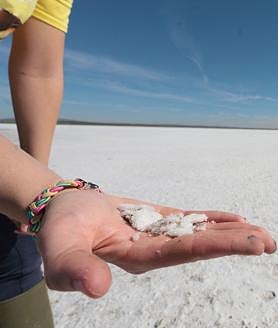 Imagen secundaria 2 - Malaga's famous flamingo lagoon dries up
