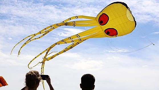 International Kite Fest takes to the skies above Malaga, in pictures