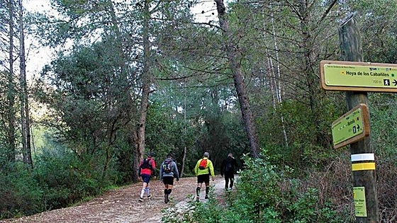 Three free nature walks on offer in Marbella this month