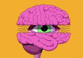 Time to knock neuromyths on the head