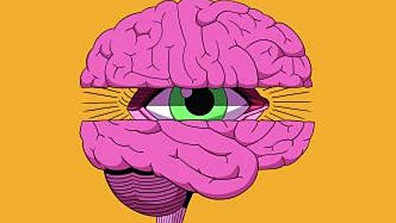 Time to knock neuromyths on the head