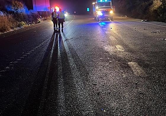 Emergency services at the scene of the crash in the early hours of this Friday morning.