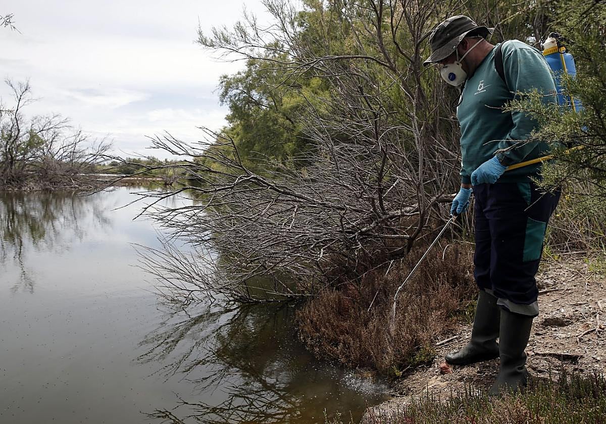 File photo of fumigation work against mosquitoes in the Guadalhorce.