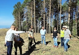 Fire prevention work taking place in the Axarquía